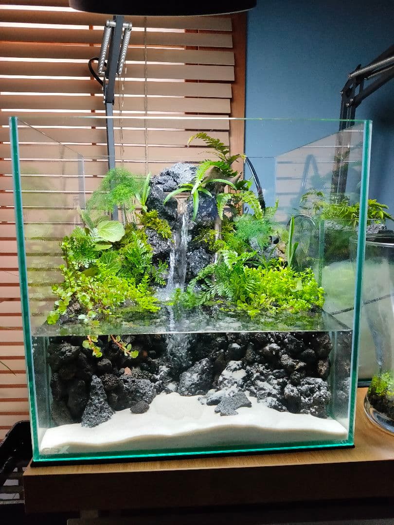 滝の流れる30cmキューブアクアテラリウム【レイアウト済みアクア
