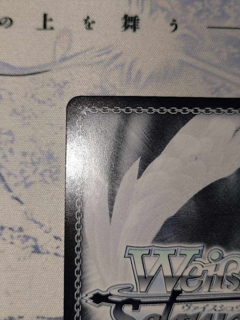 トクベツな関係　すず　SEC サイン　ヴァイス