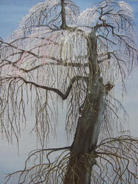山本豊子、【清雲寺　枝垂エドヒガンザクラ】、希少な額装用画集より