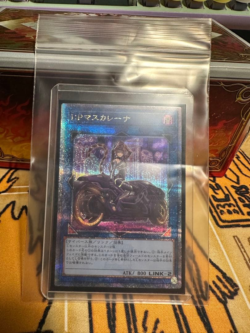 遊戯王　I:P マスカレーナ 25thシークレット クオシク　絵違い