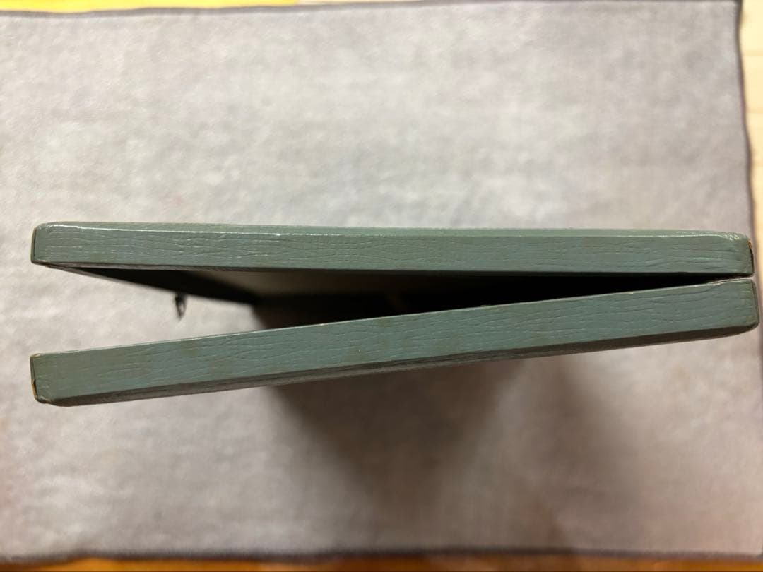 Mike Takumi PLATINUM 万年筆ケース ペンケース 廃盤