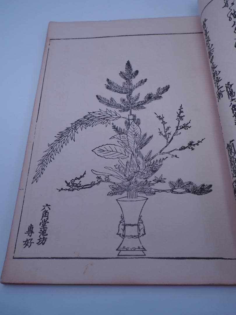 池坊 新編立華数瓶図彙 300年前の希少本 華道 1725年 200冊限定 - メルカリ