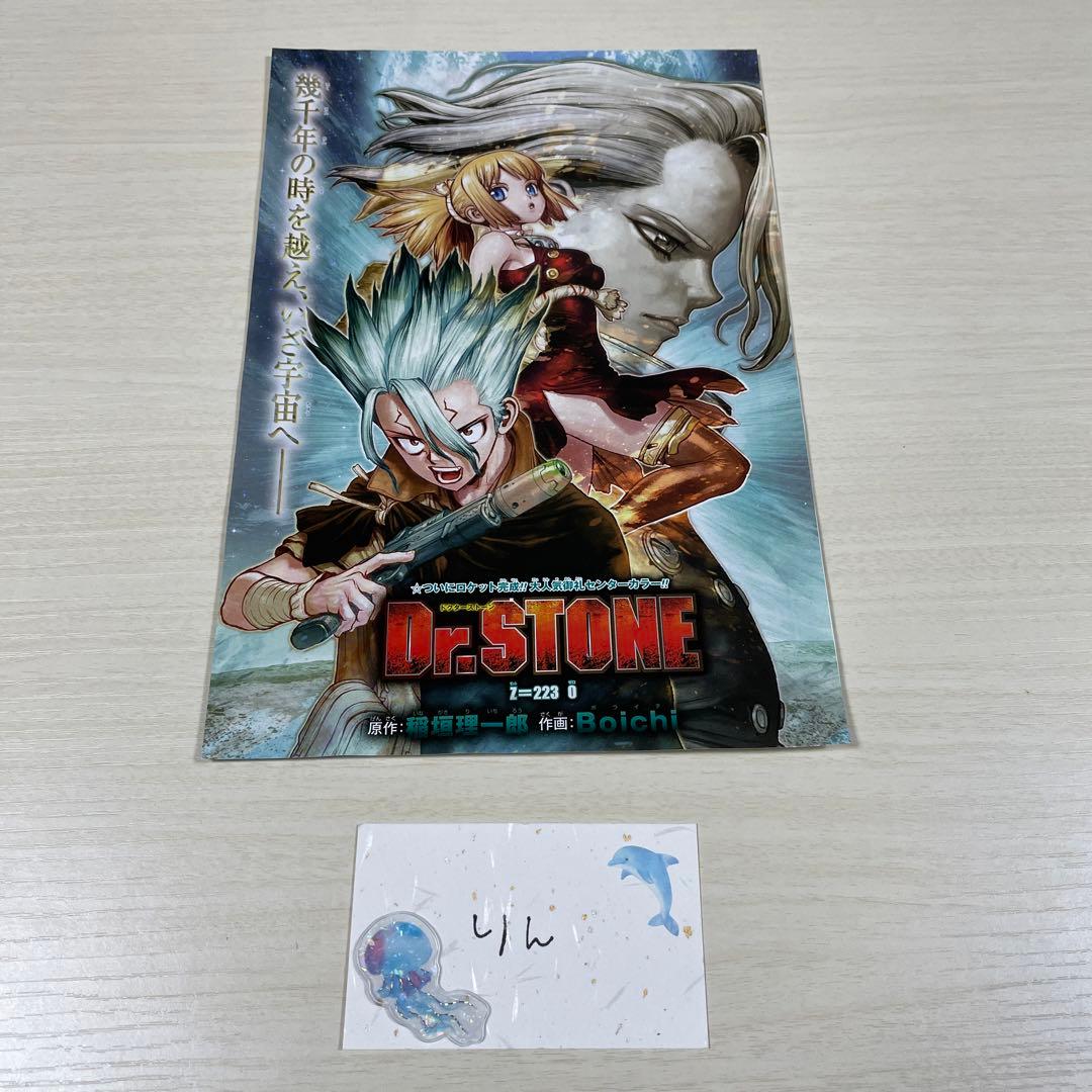Dr.STONE Z=223 センターカラー - メルカリ