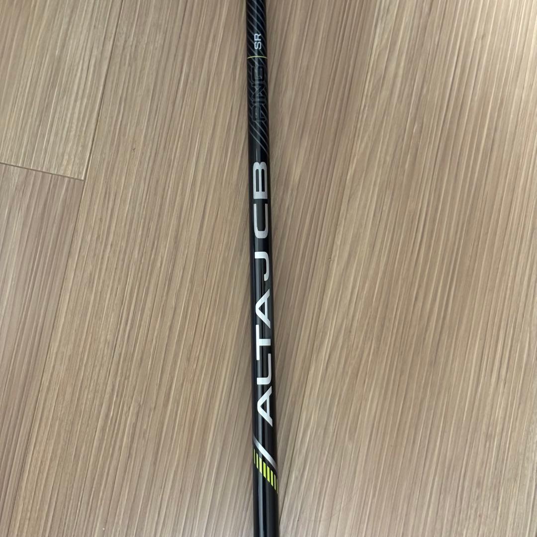 ◇希少 特大◇ walasse ting blue horse