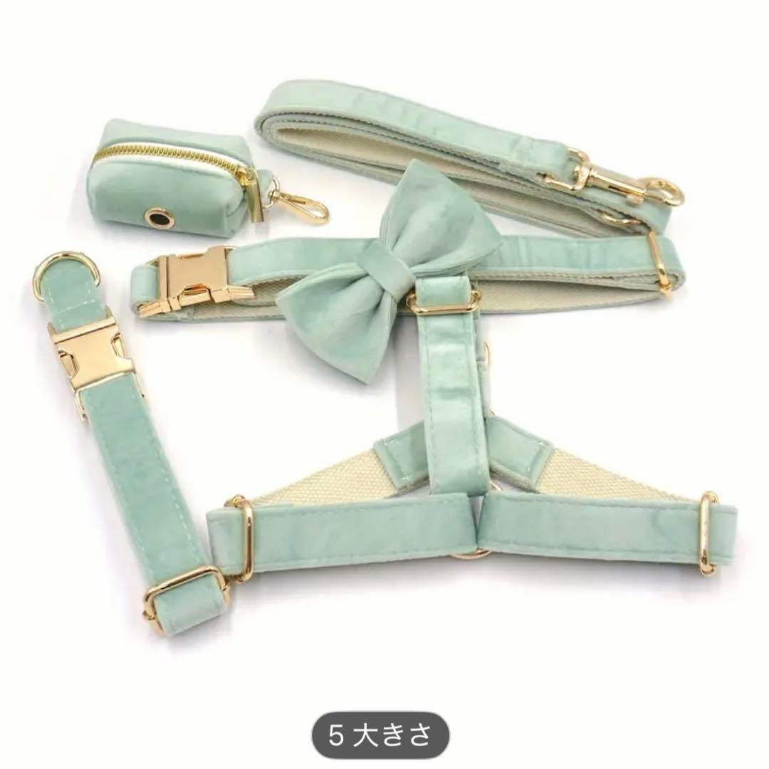 今最安♡ オーダー名前 グリーンブルー セット 犬 首輪 ハーネス