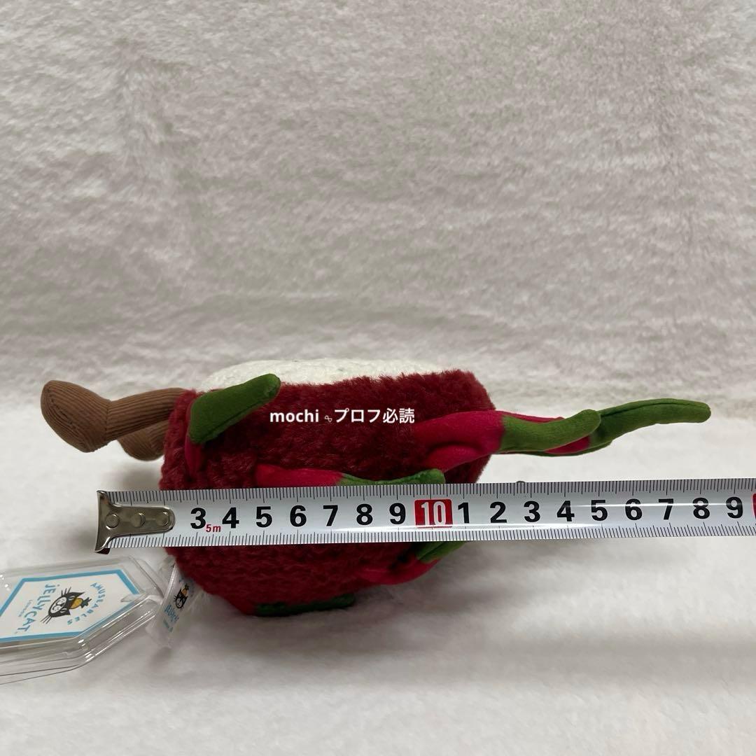  Amuseables Dragon Fruitドラゴンフルーツ