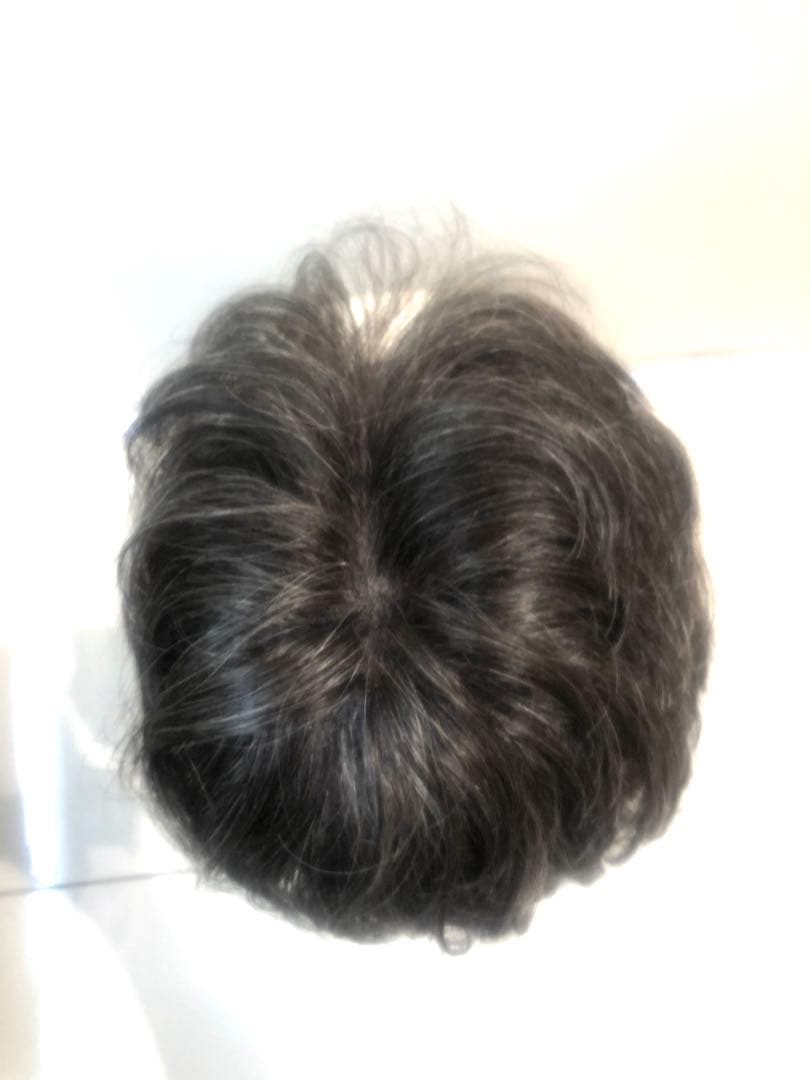 NAO-ART グレー ショートウィッグ