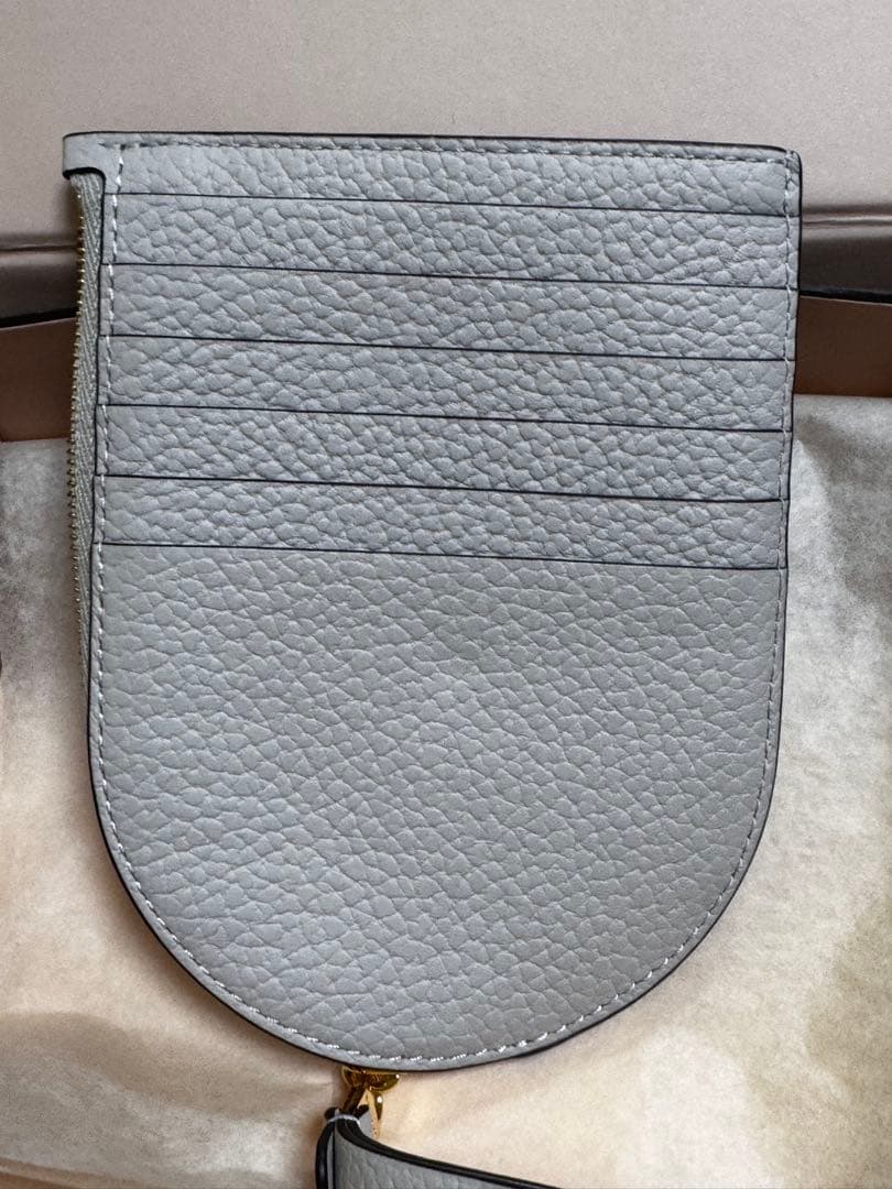 【人気色】DELVAUX デルヴォー　財布　パンDマルチファンクション