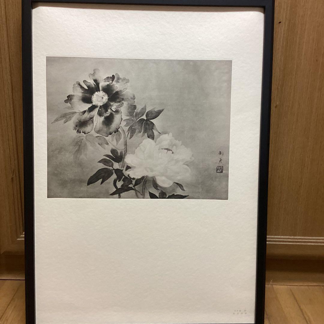 天才画家　速水御舟　作品集大作編　便利堂監修　NO 【50    牡丹双華】画集