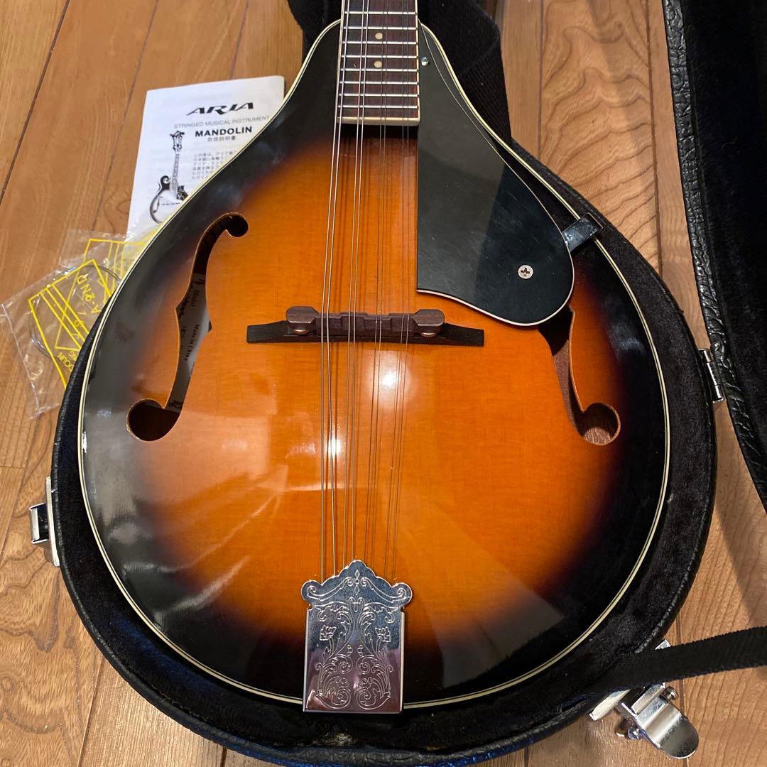 弦楽器 ARIA Mandolin