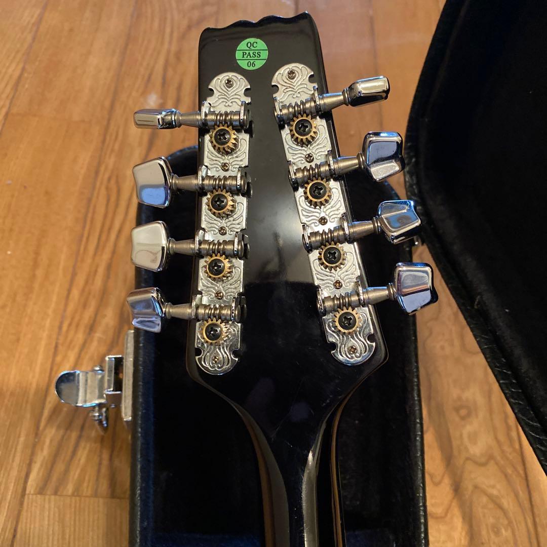 弦楽器 ARIA Mandolin