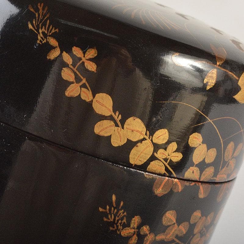 いさ　茶道具　秋草蒔絵　棗　時代箱付　V　6791