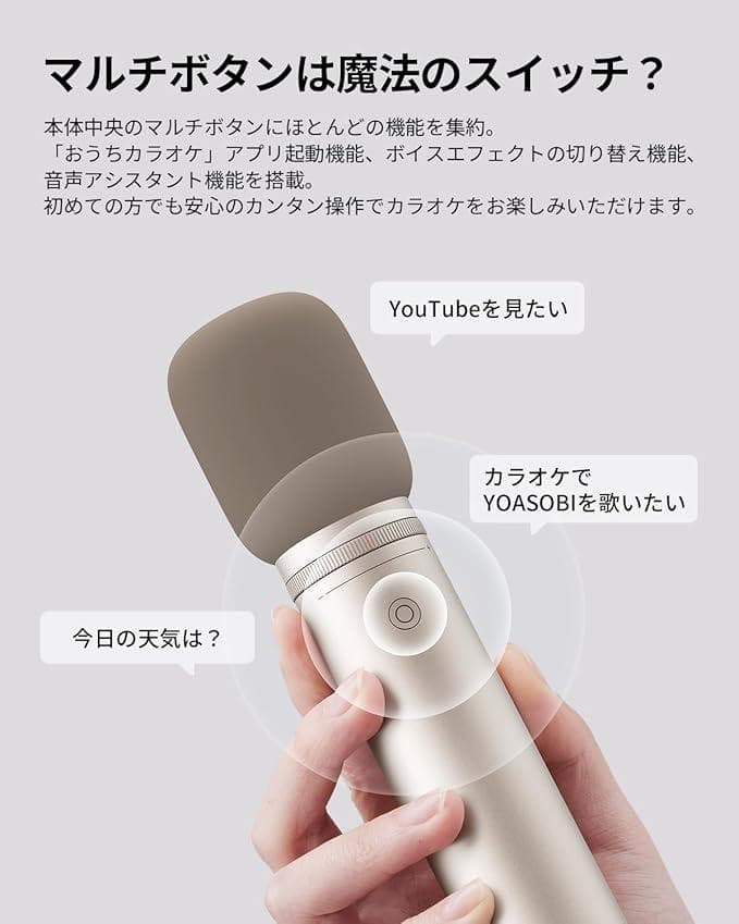 【値下げ・美品】Aladdin Mic 2（アラジン マイク 2）