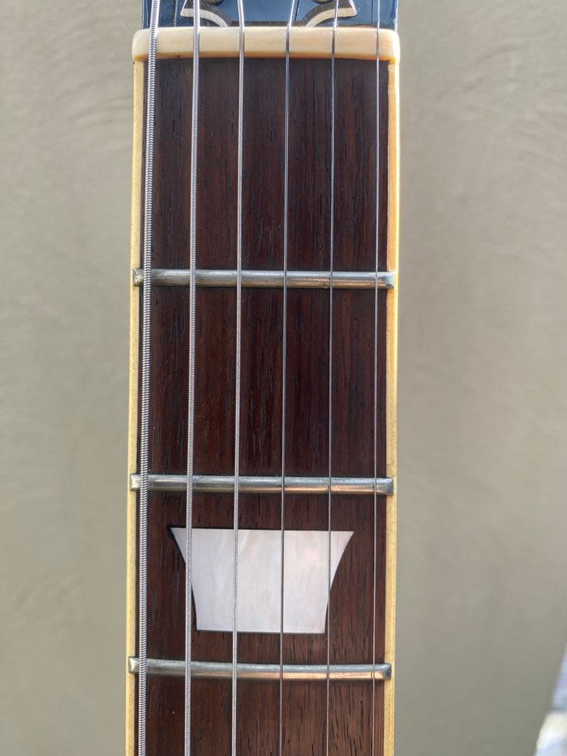 aria pro ii LS-600(アリア プロⅡ レスポールタイプ)