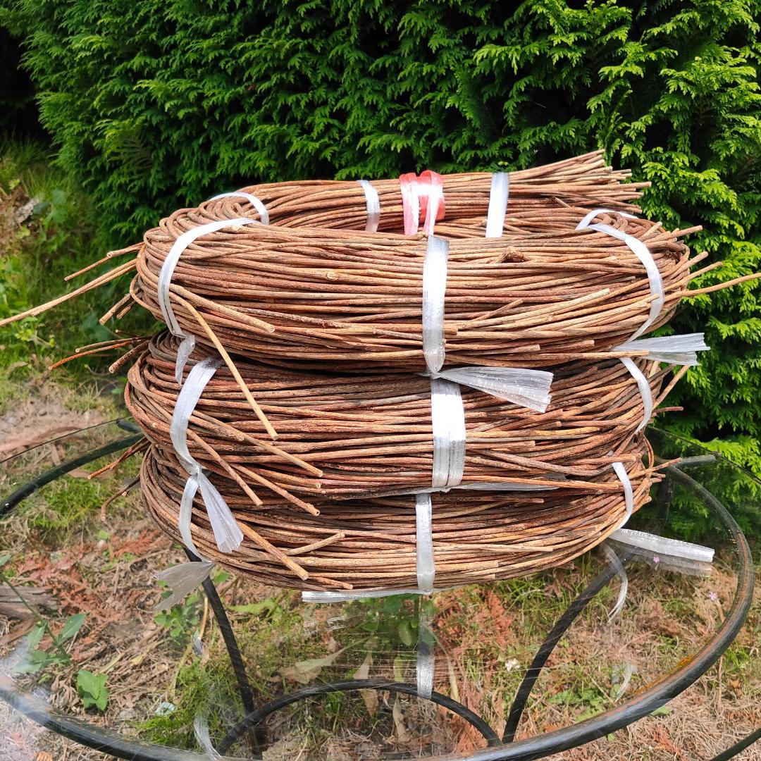 みっくん　青森県岩木山採取　あけび蔓　150cm～　練習用　3kg