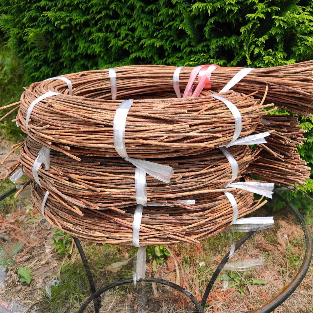 みっくん　青森県岩木山採取　あけび蔓　150cm～　練習用　3kg