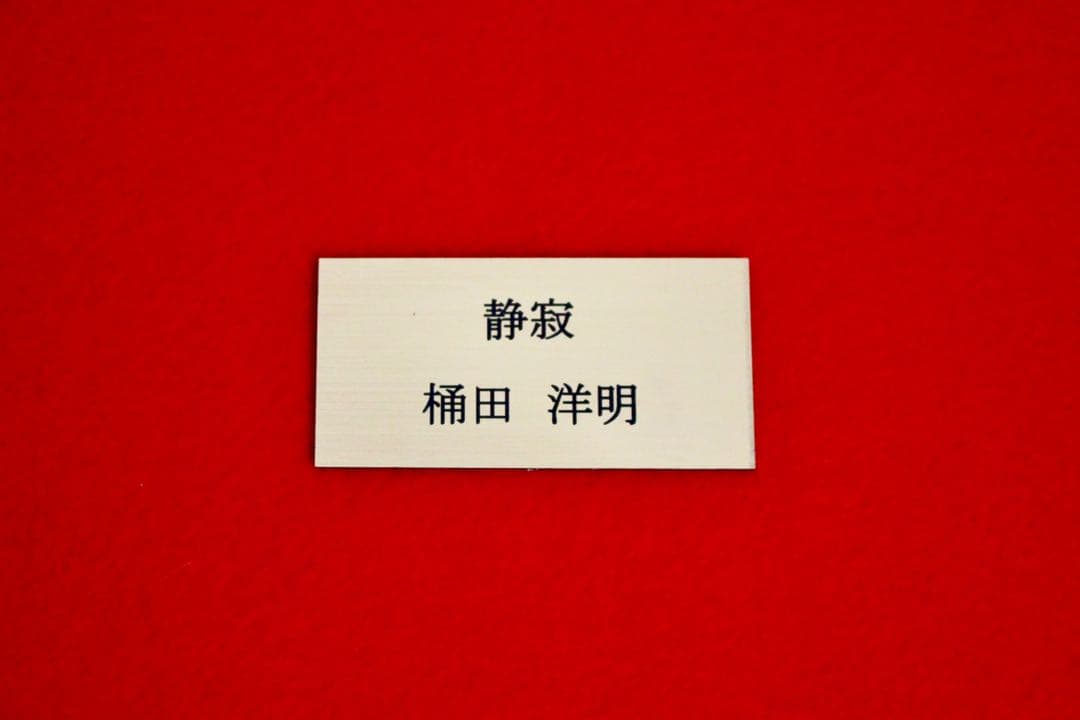 花乙女コレクション【桶田洋明 静寂】購入金額より60％お値引き！！