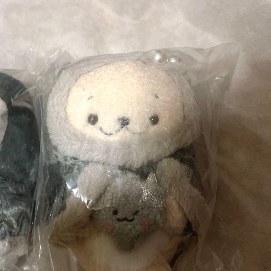 しろたん らっこいぬ ブラックホーリー ぬいぐるみ