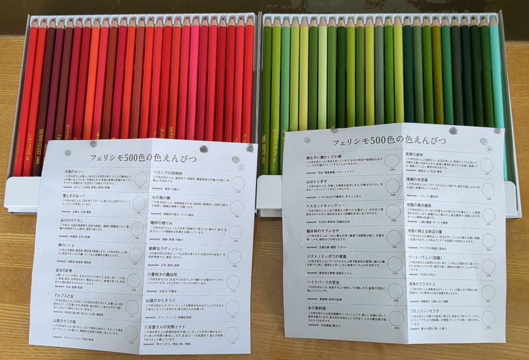 FELISSIMO　色鉛筆500本セット