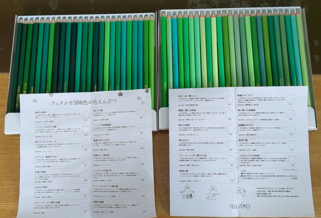 FELISSIMO　色鉛筆500本セット
