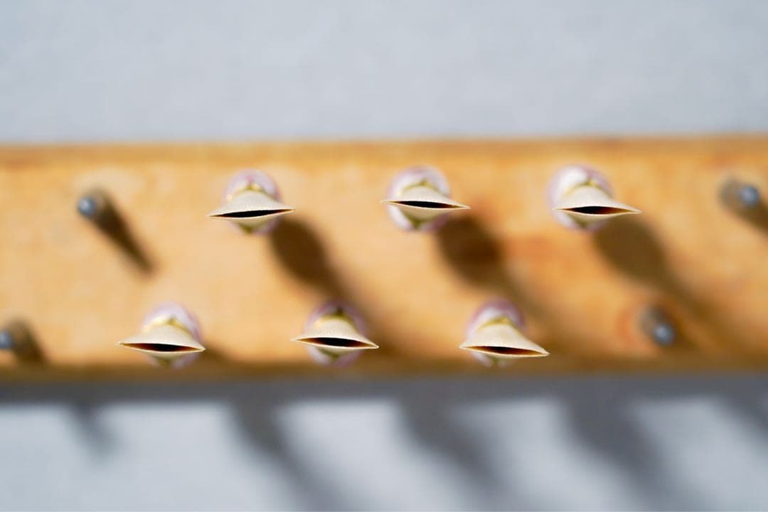 ファゴット用完成リード 3本セット