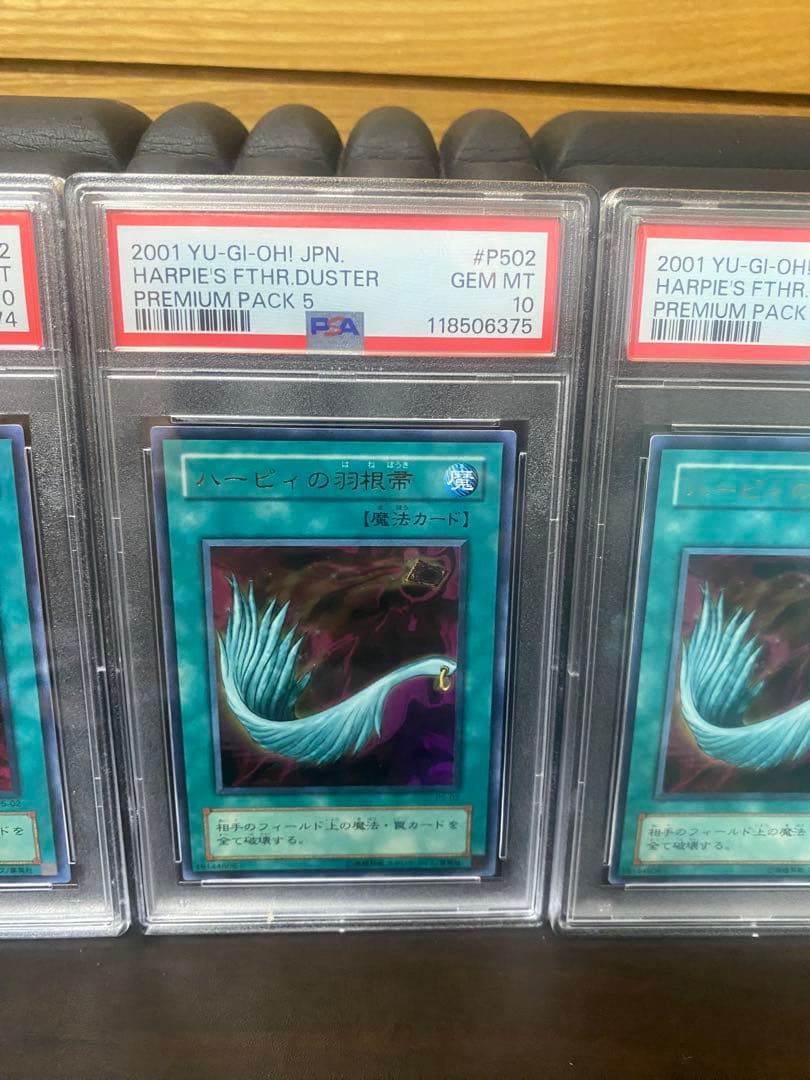 3連番 psa10ハーピィの羽根箒　p5-02