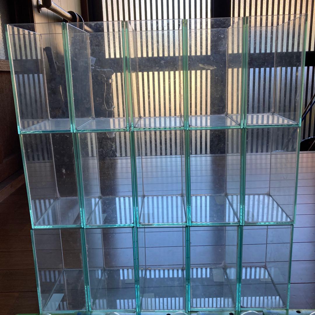 ショーベタコレクションケースM14個、おやすみリーフ14個、カルキ抜き