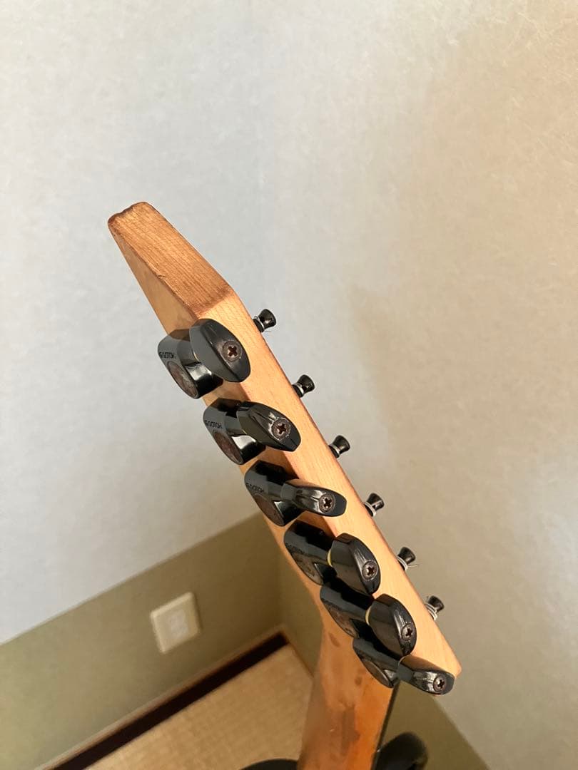 FERNANDES tej-45B フロントPU断線