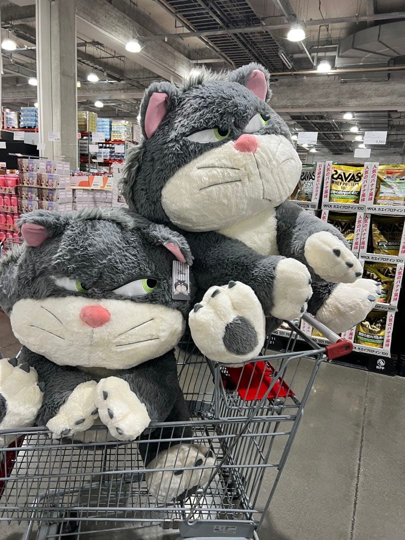 シンデレラ ルシファー ぬいぐるみ 約80cm