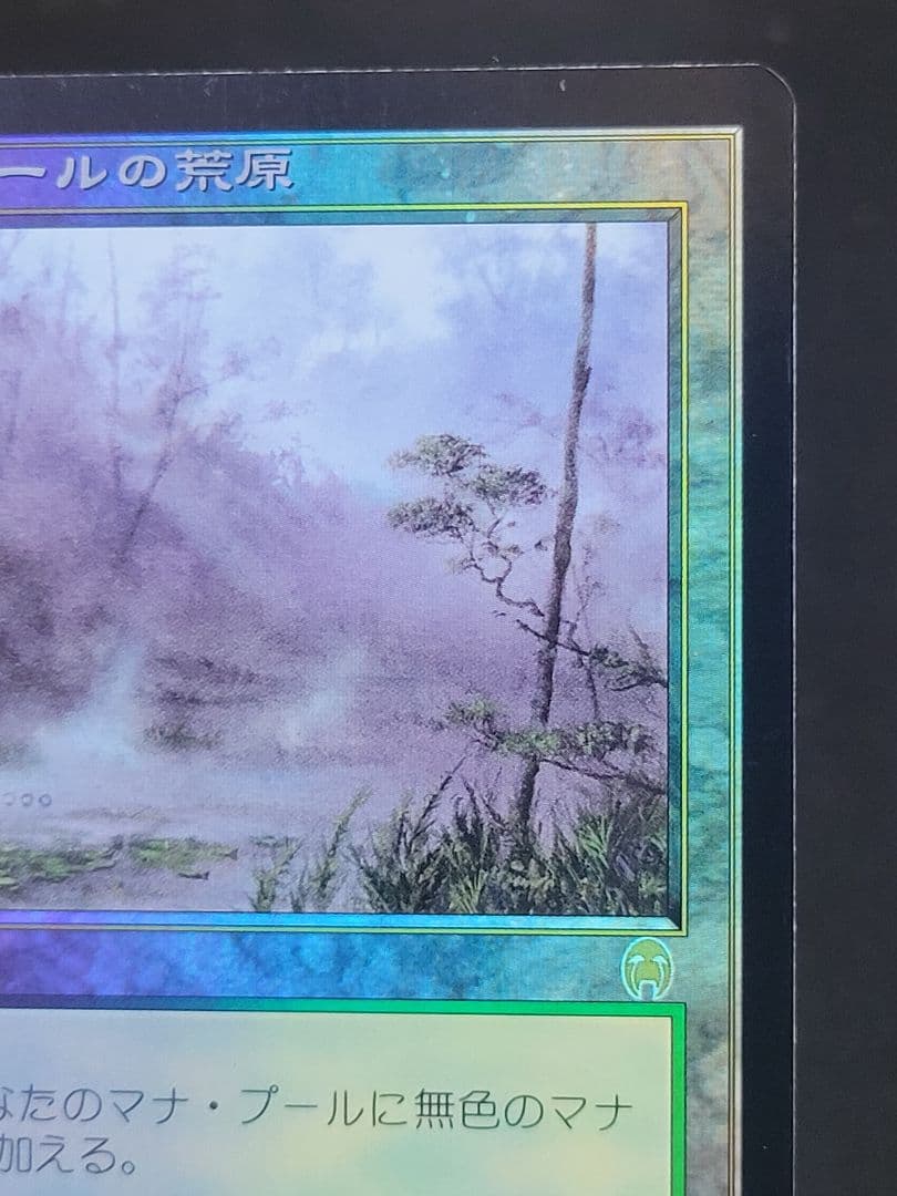 ラノワールの荒原/Llanowar Wastes APC 日本語版 foil HPLD]ラノワール