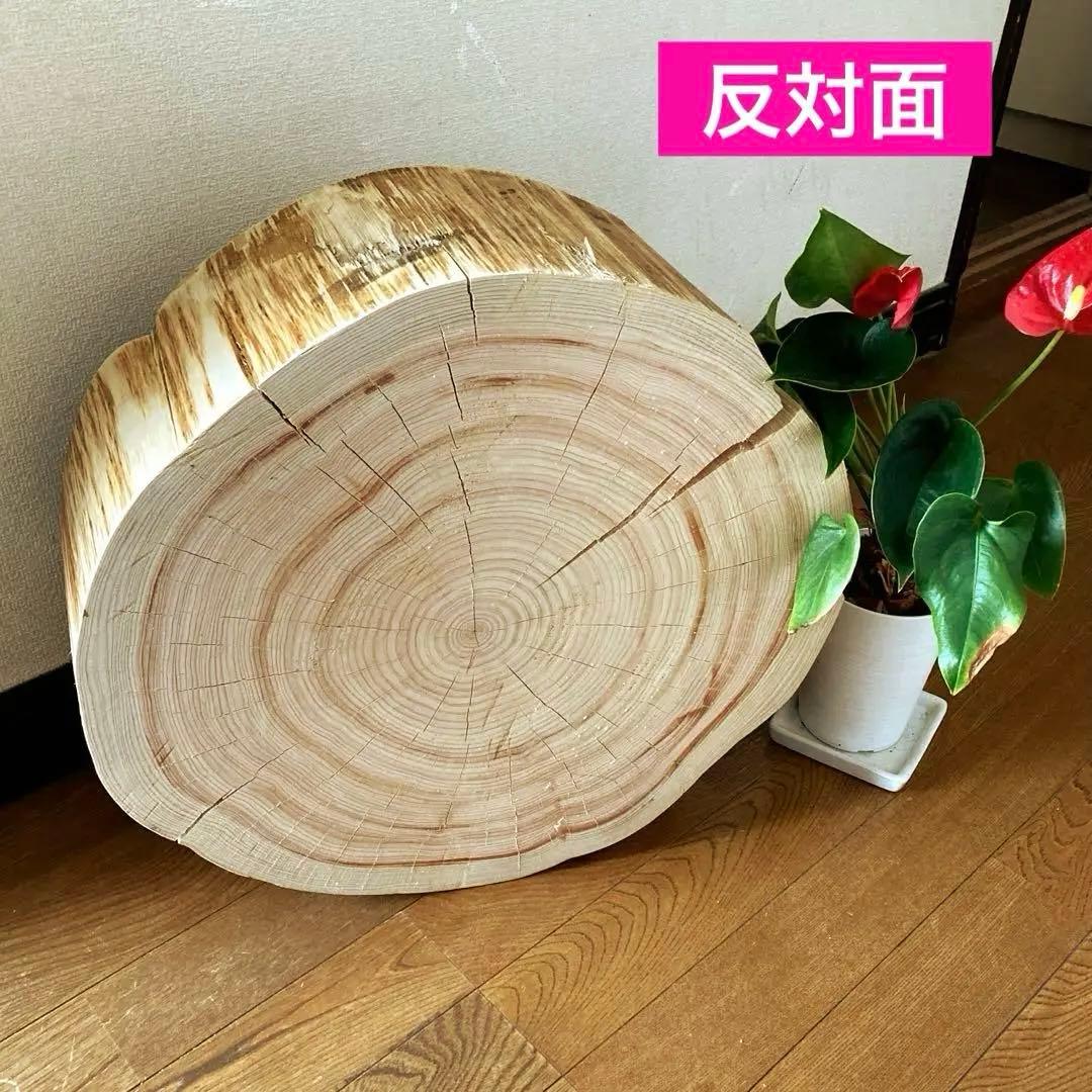一枚板 切り株 ナチュラルウッド 特大46cm 樹齢約80年 ハンドメイドB
