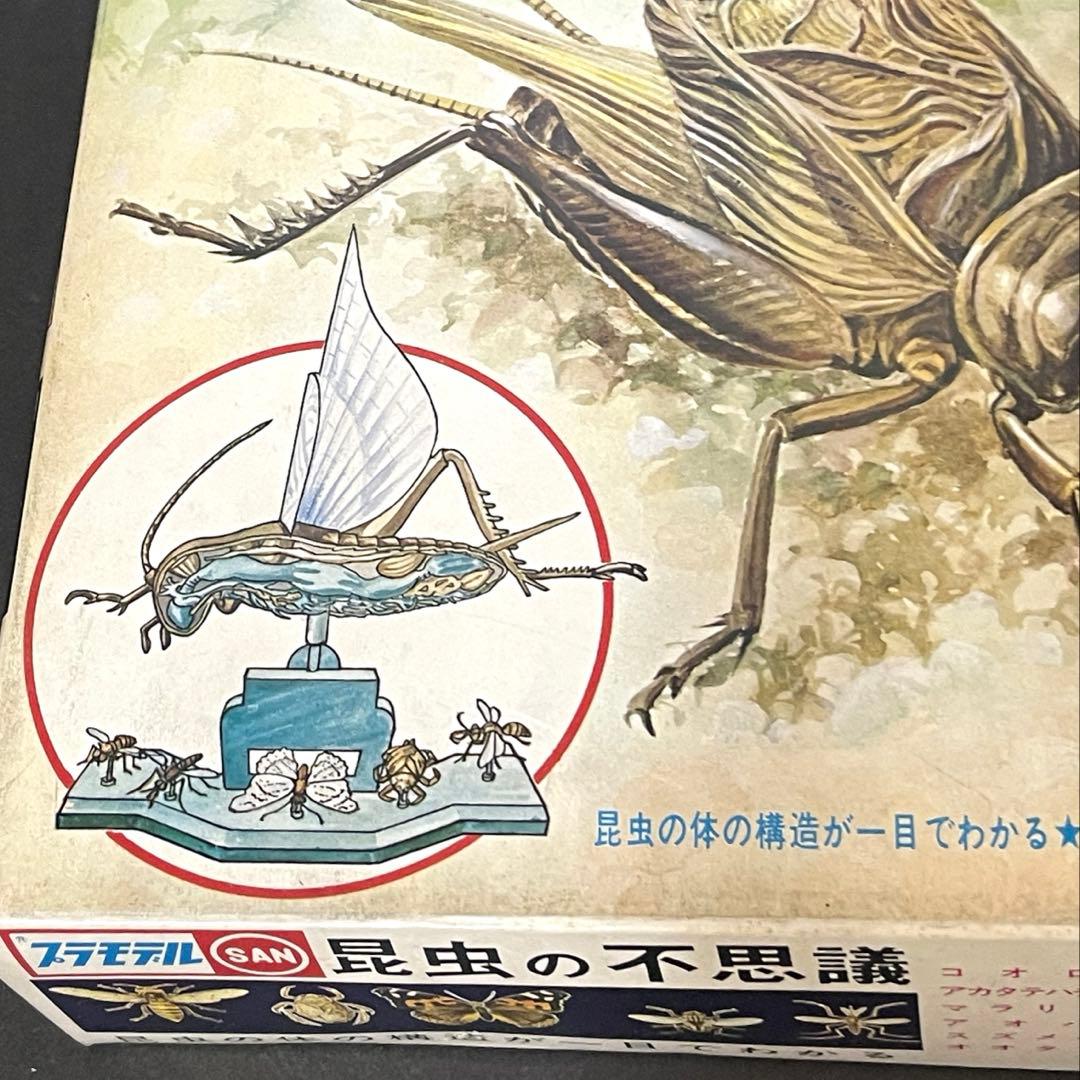 Amazon.co.jp: マルサン プラモデル エディケーショナルシリーズ 昆虫