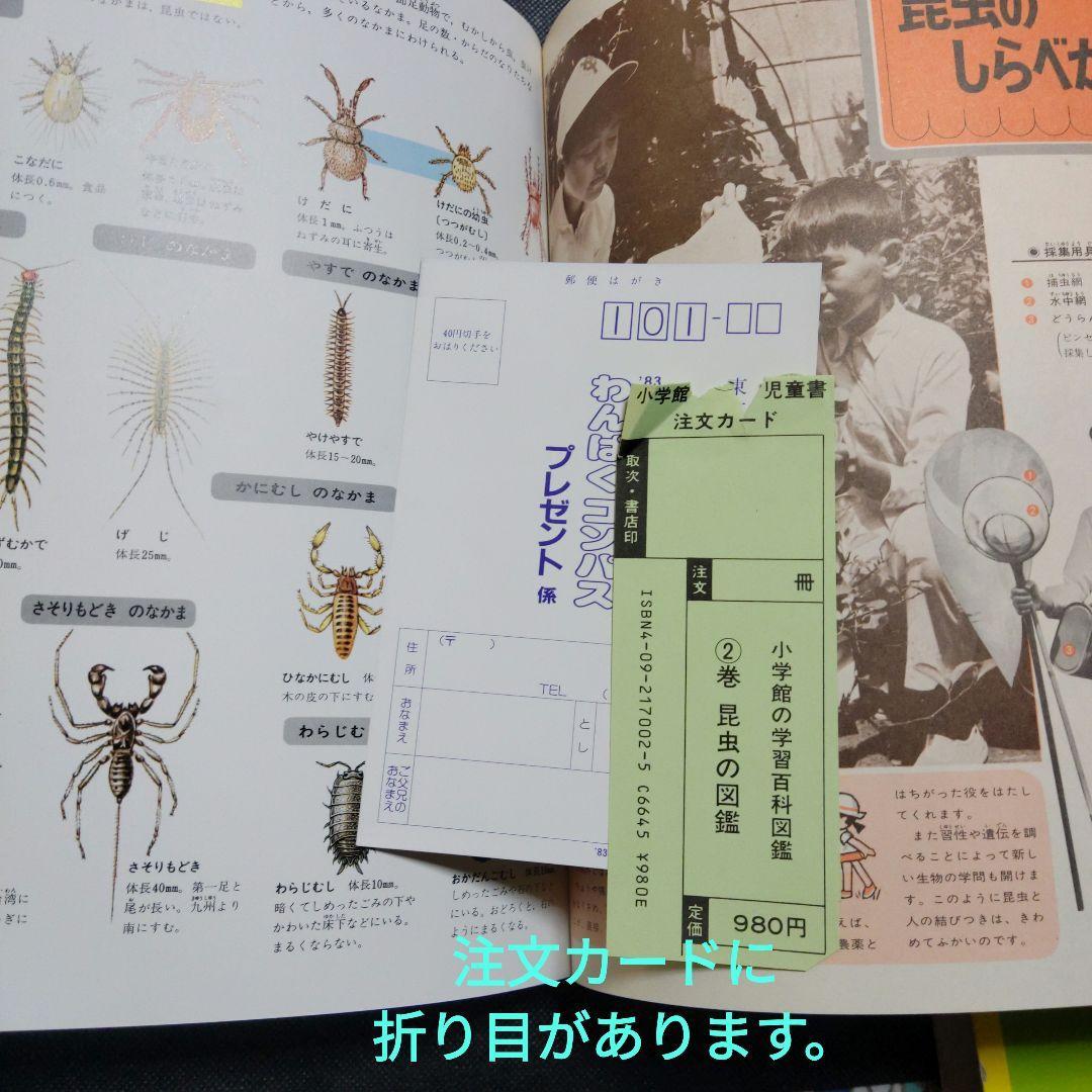 昆虫図鑑付録未使用折りたたみポスター 付海外カブトムシ＆クワガタ