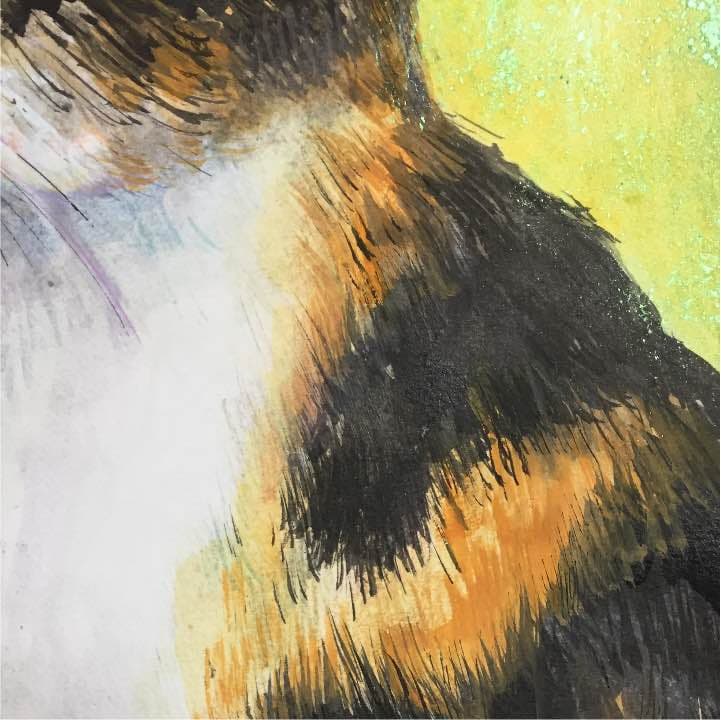 三毛猫、イラストボード22cm×30,5cm