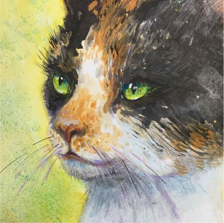 三毛猫、イラストボード22cm×30,5cm