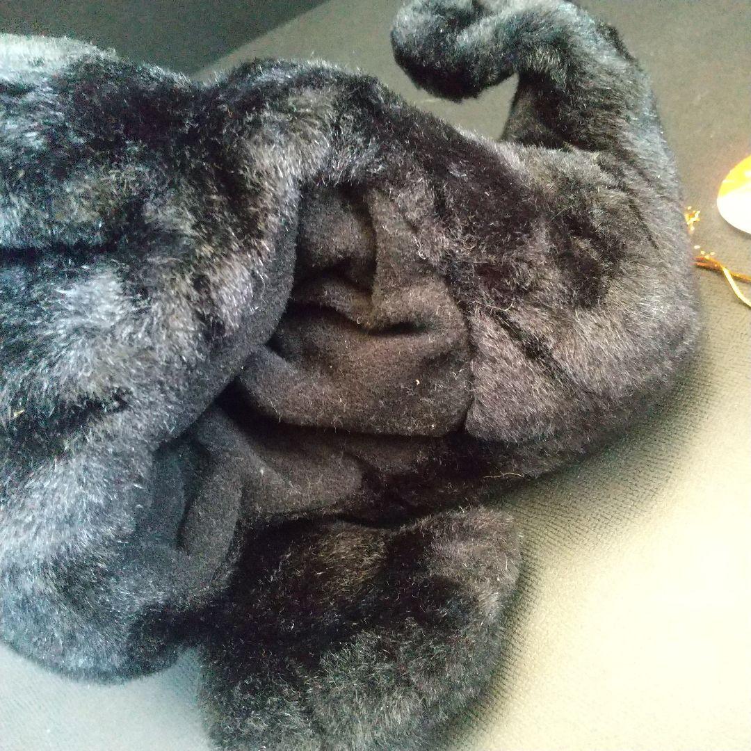 オウオウアシカ