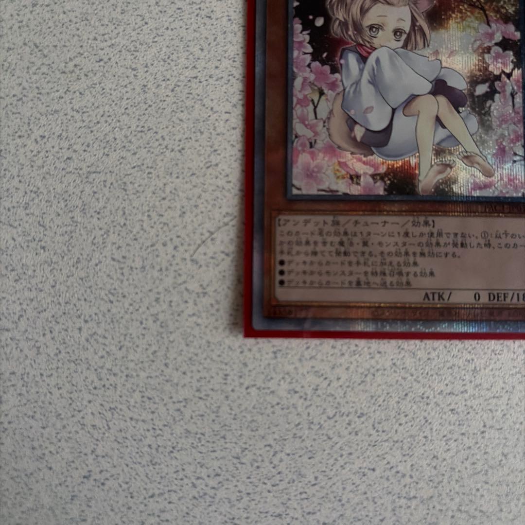 余*様 遊戯王 灰流うらら イラスト違い プリズマ