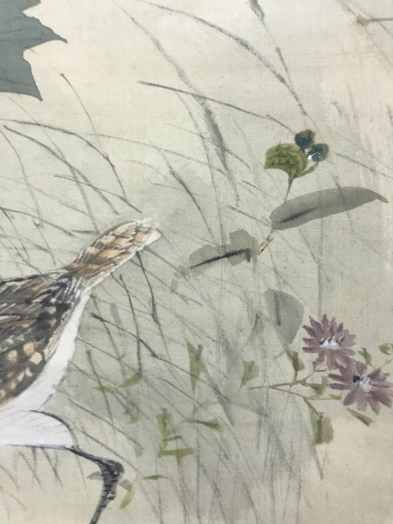 真作/藤井松山/秋汀渉禽図/花鳥図/掛軸/名家伝来/AE-5