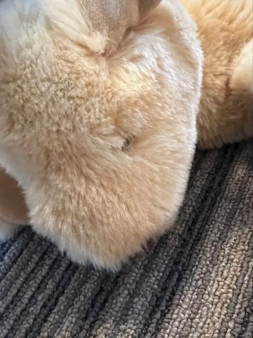 ま*※様 kathe kruse ケテ・クルーゼ工房　くたくた犬