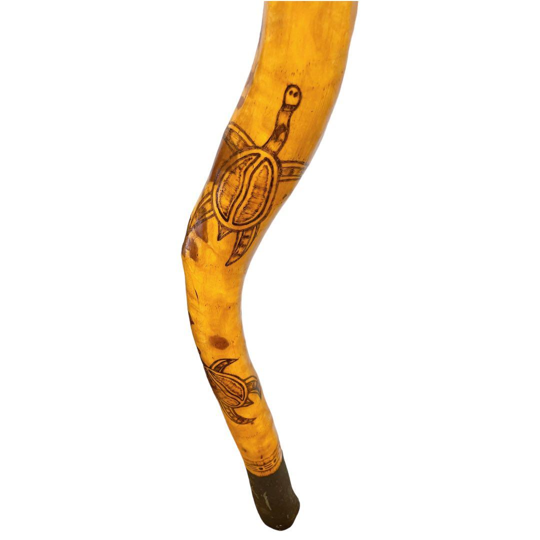 世界最古の金管楽器　ディジュリドゥ