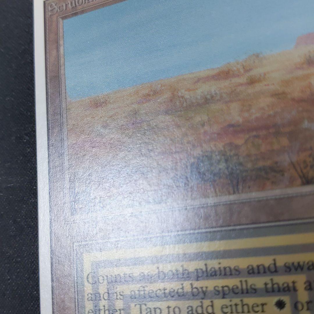 ●【貴重】【やや擦れアリ】　Scrubland　２ED　英語１枚