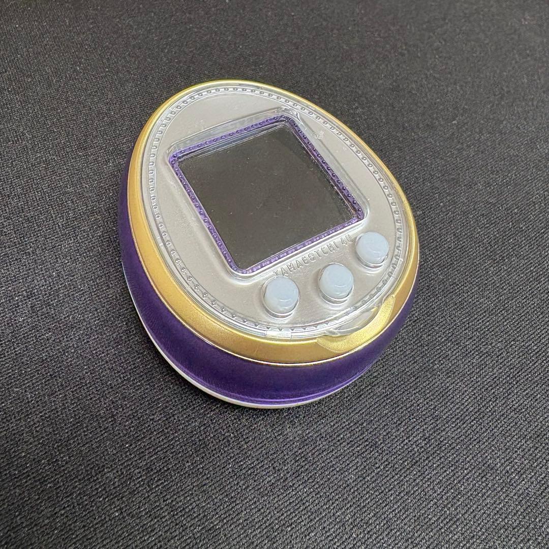 たもごっち 4U パープル