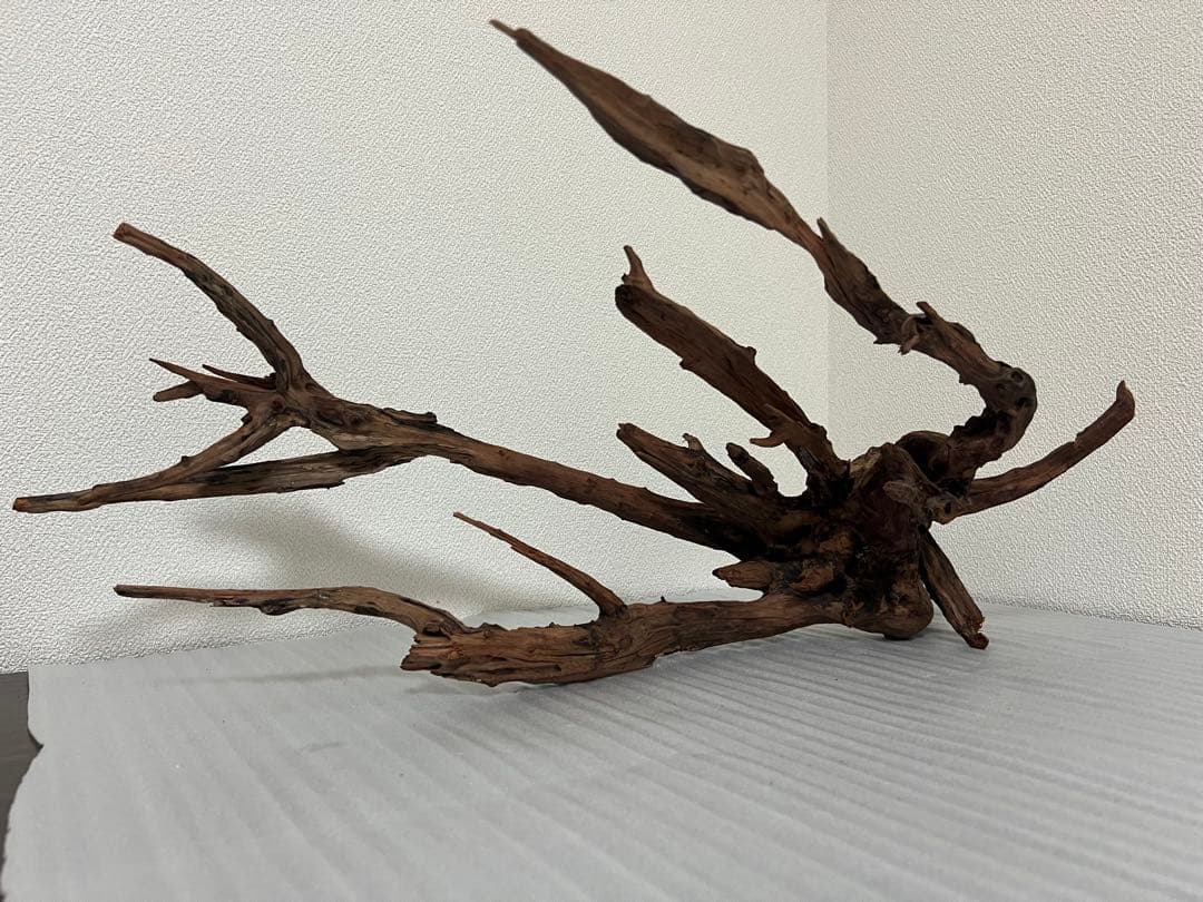 HX-083 流木 ホーンウッド マシンガンウッド アクアリウム ブランチ