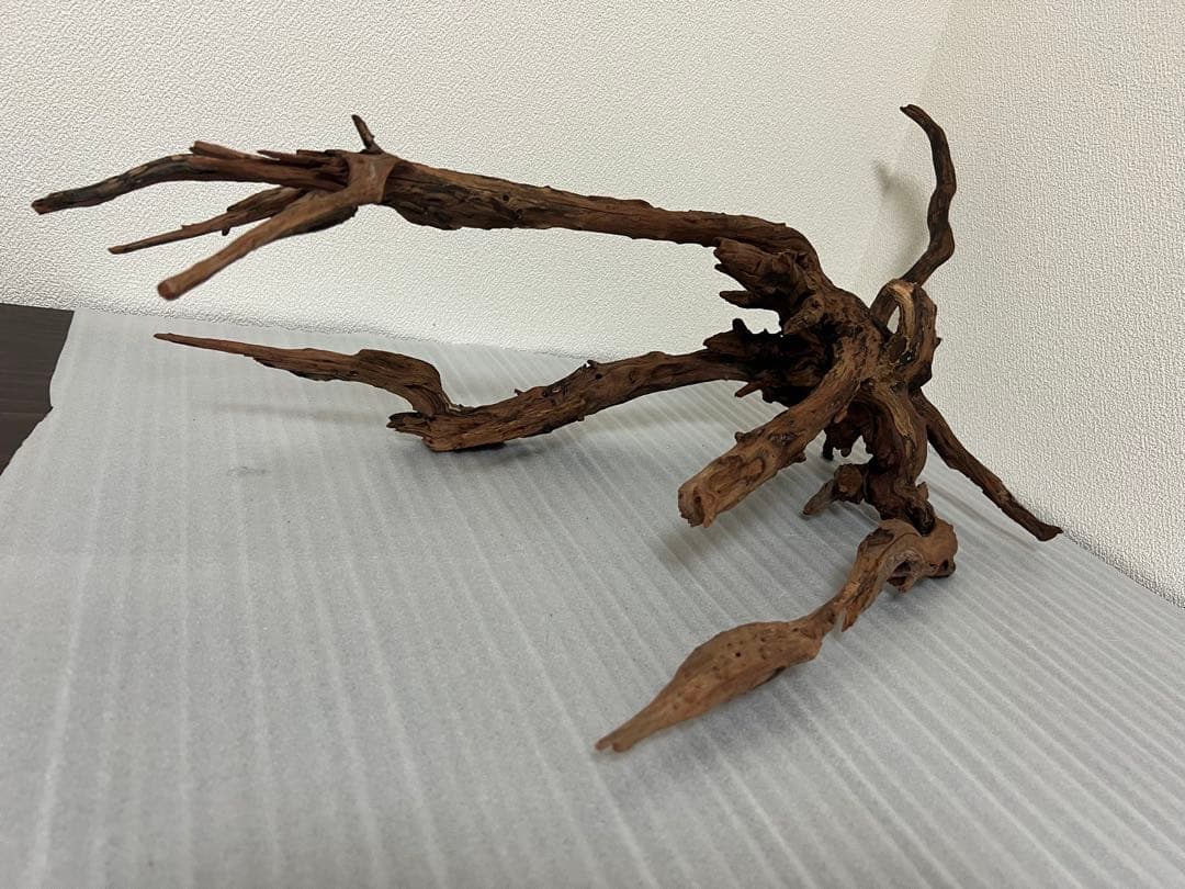 HX-083 流木 ホーンウッド マシンガンウッド アクアリウム ブランチ