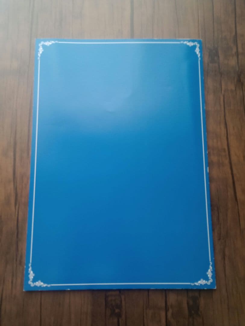 【限定版】君の名前で僕を呼んで パンフレット