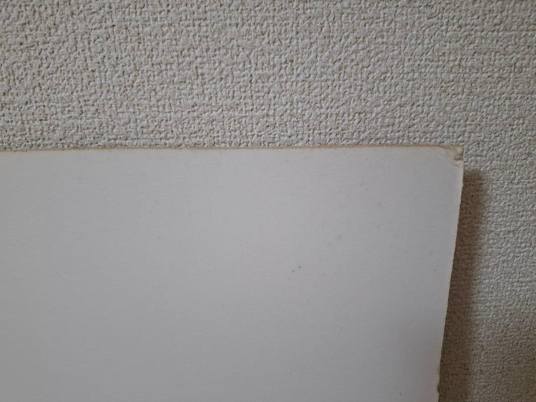 一点物】トム・パーキンソン/Tom Perkinson スカイウォーカー 原画