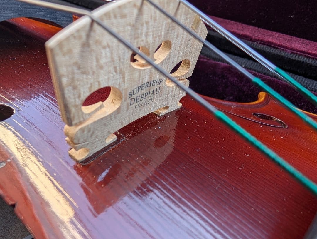 【特価】エレキバイオリン　David Gage　The Realist　RV4