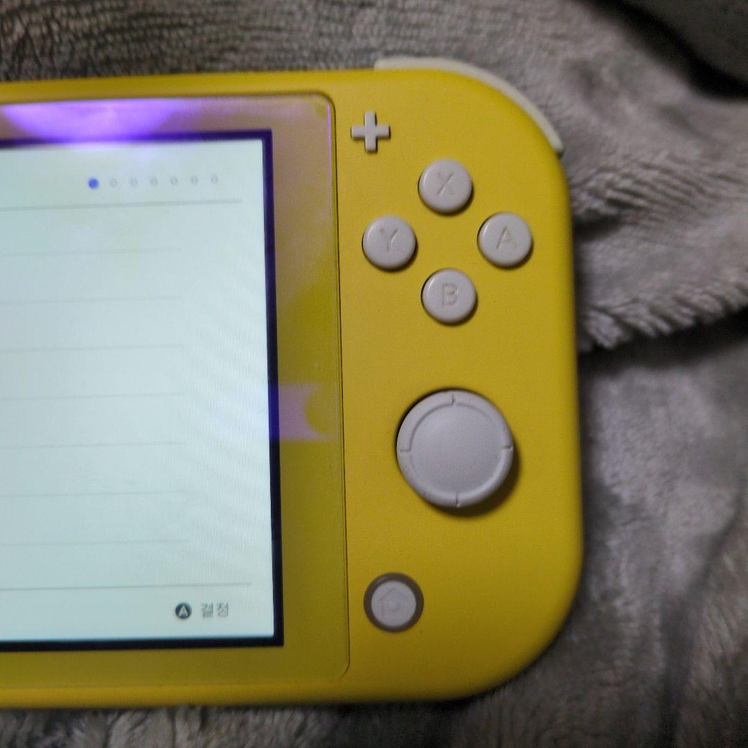 Nintendo Switch Lite　本体　純正ACアダプター 充電器付き