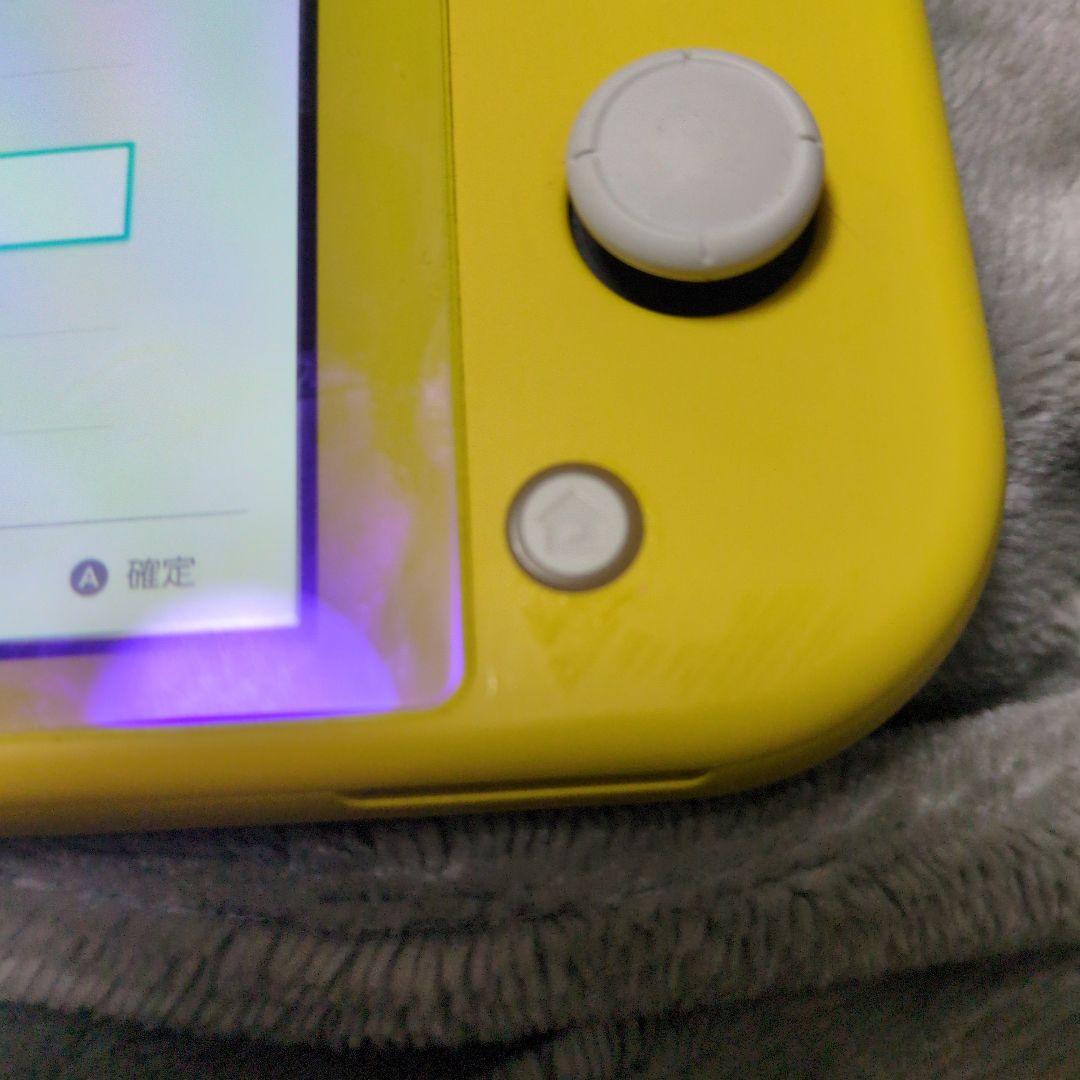 Nintendo Switch Lite　本体　純正ACアダプター 充電器付き