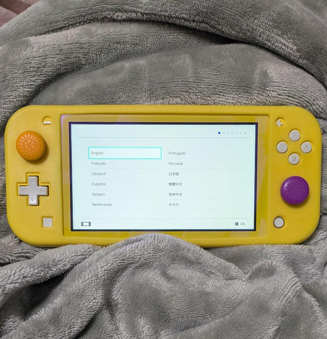 Nintendo Switch Lite　本体　純正ACアダプター 充電器付き